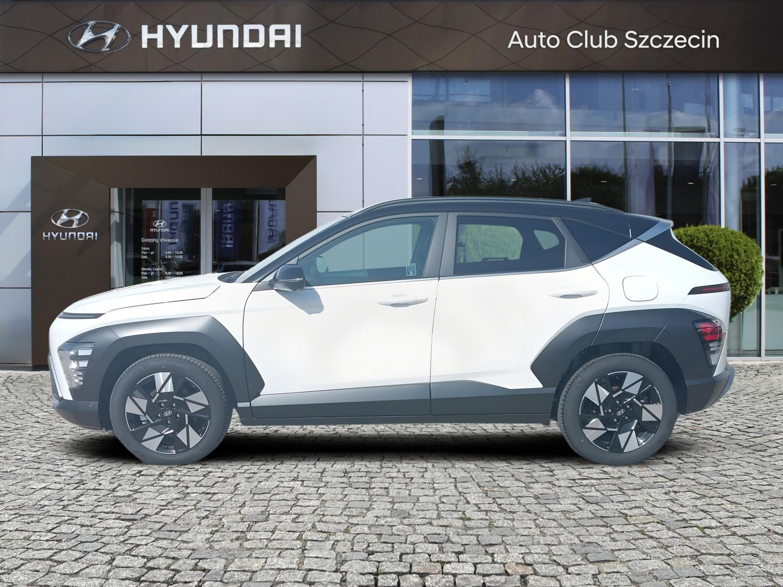 Platinum Luxury 170KM 4WD 7DCT