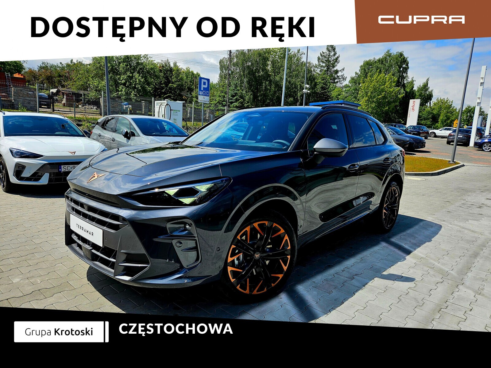 Cupra Terramar