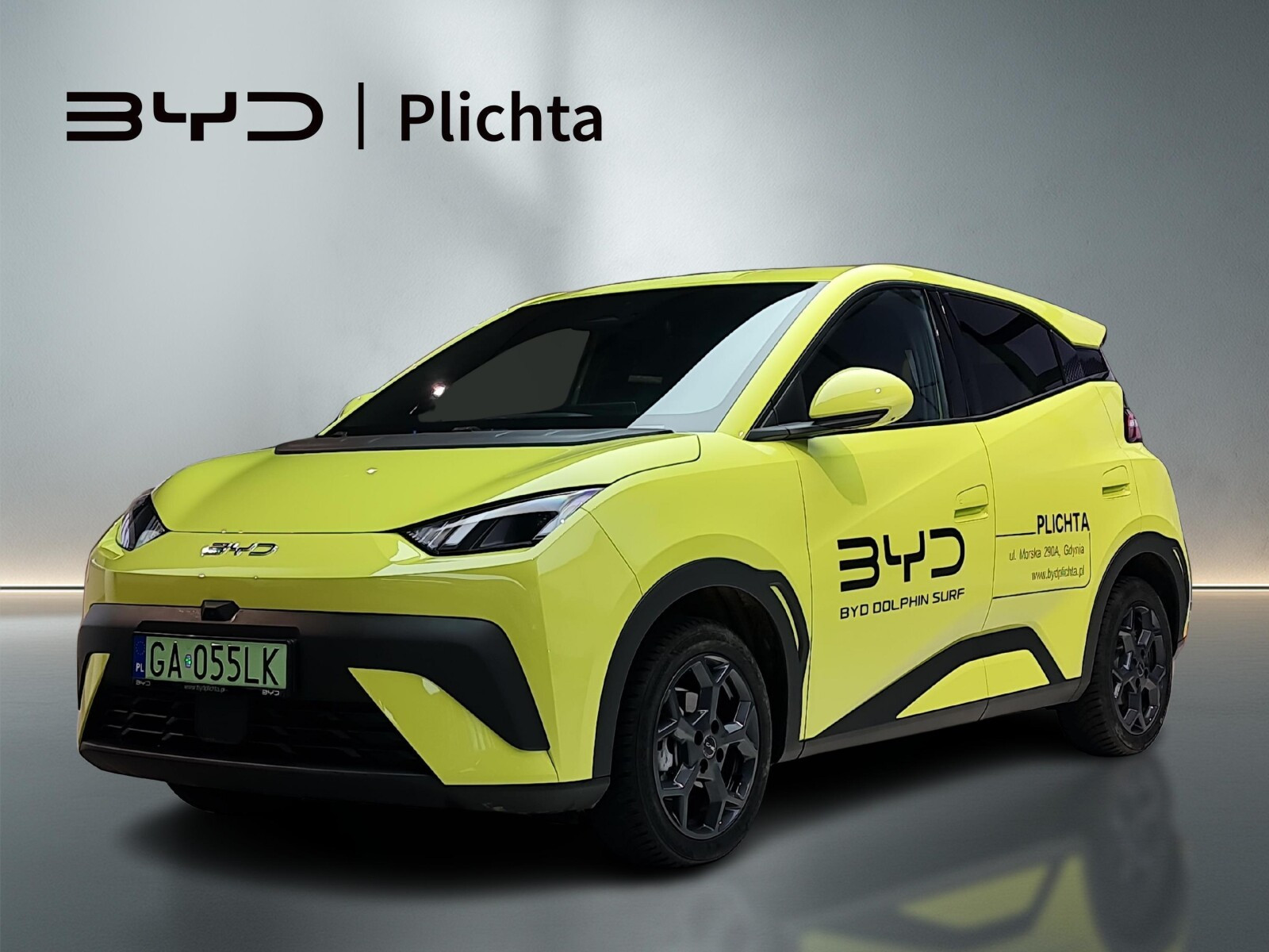 BYD Dolphin Surf