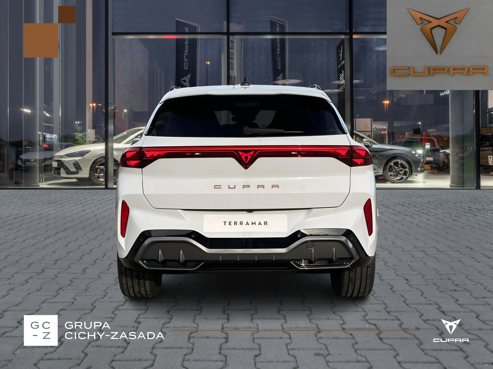 Terramar Advantage Edition 2.0 TSI 204 KM DSG 4Drive