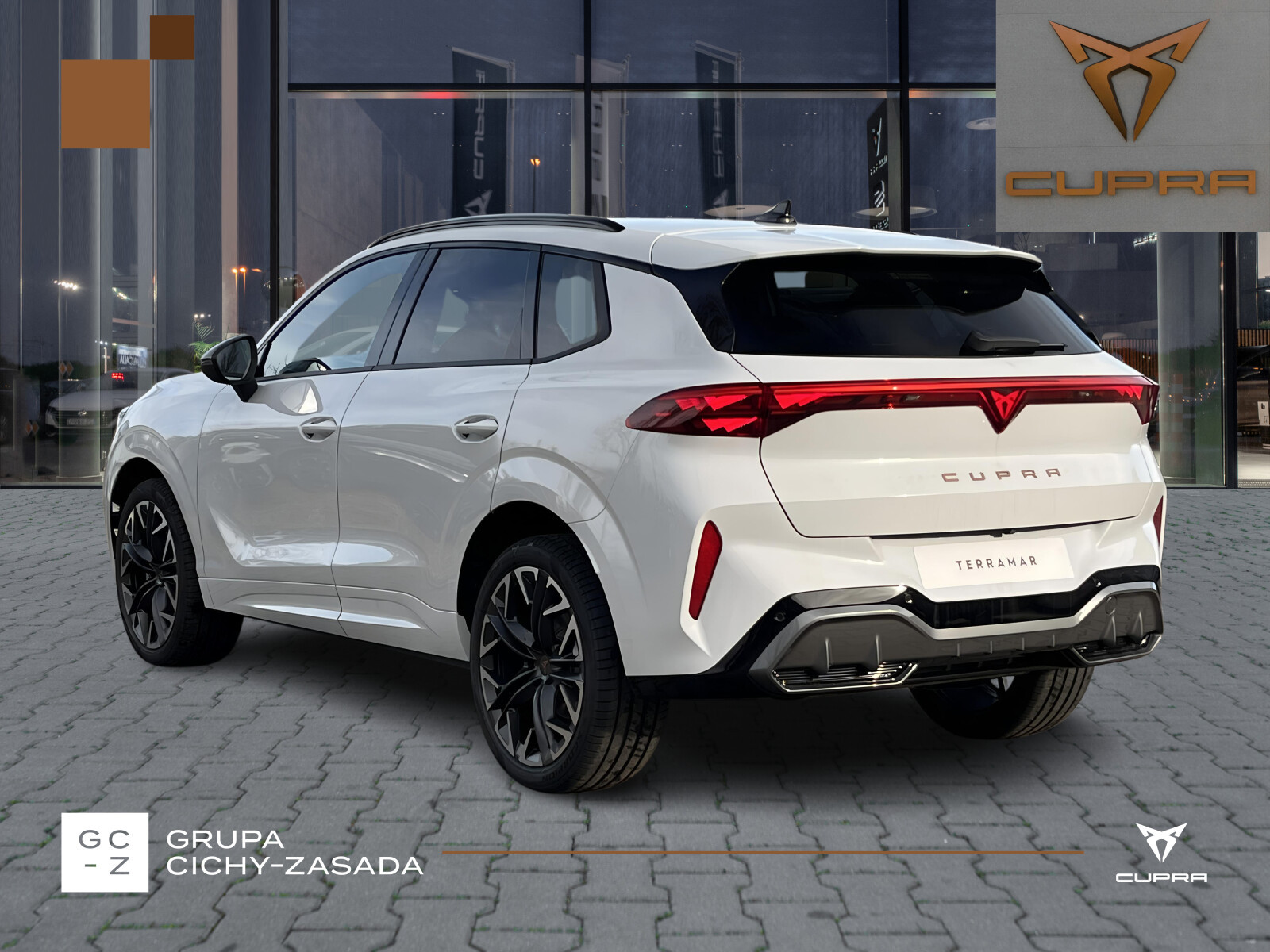 Terramar Advantage Edition 2.0 TSI 204 KM DSG 4Drive
