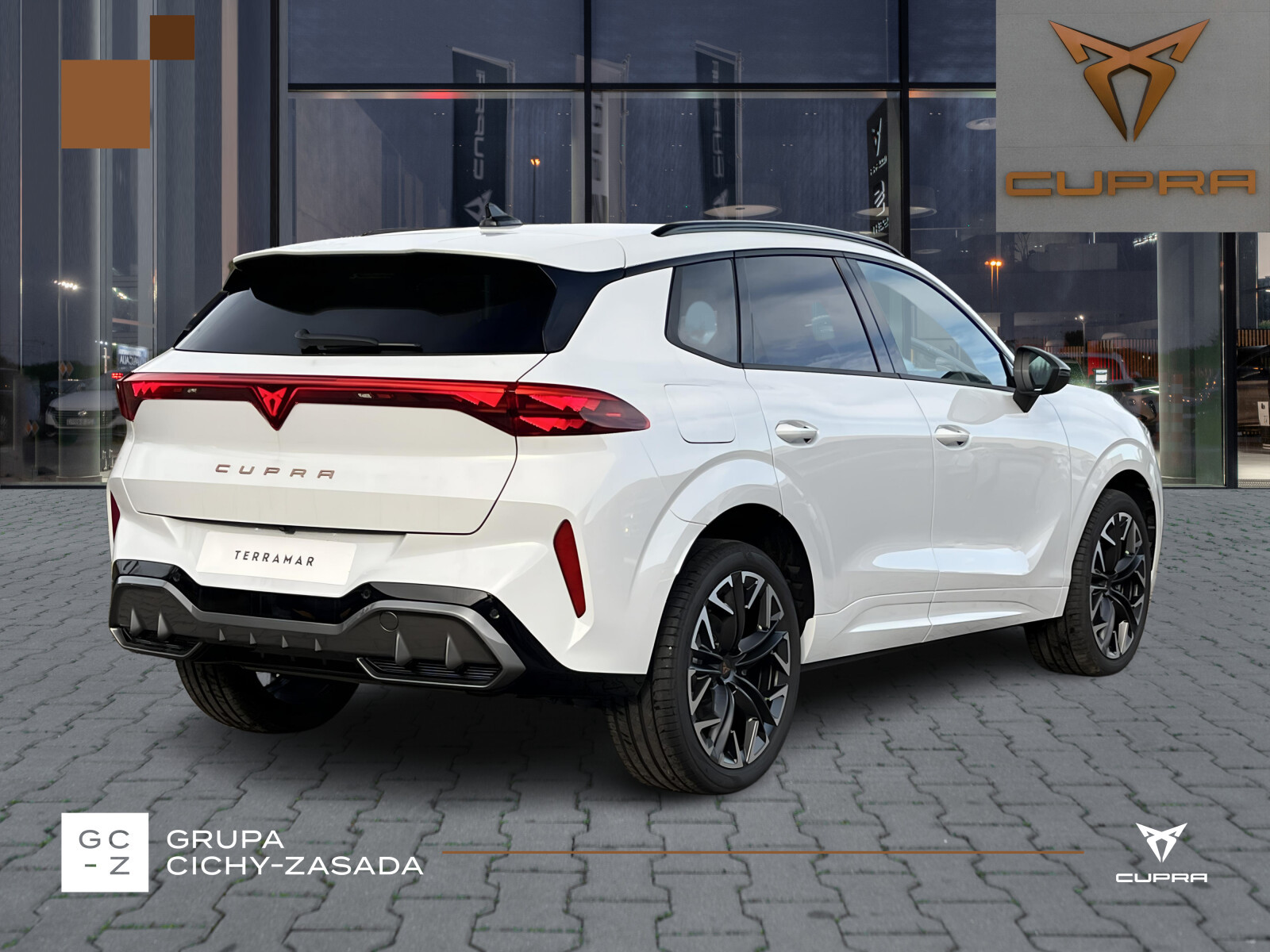 Terramar Advantage Edition 2.0 TSI 204 KM DSG 4Drive