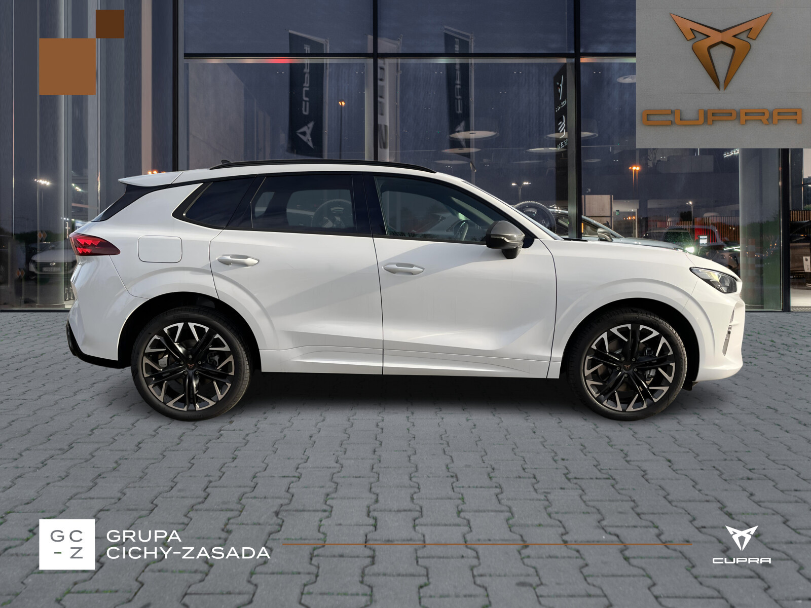 Terramar Advantage Edition 2.0 TSI 204 KM DSG 4Drive