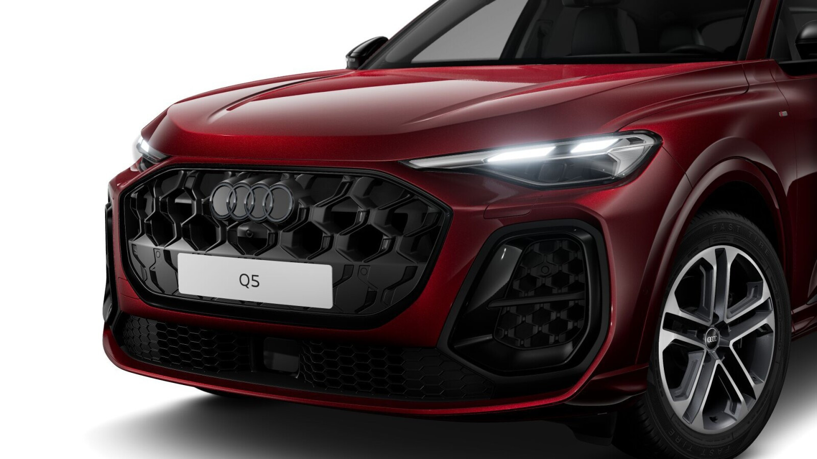 Q5 TFSI mHEV S tronic: S line; Hak; VAT 23%