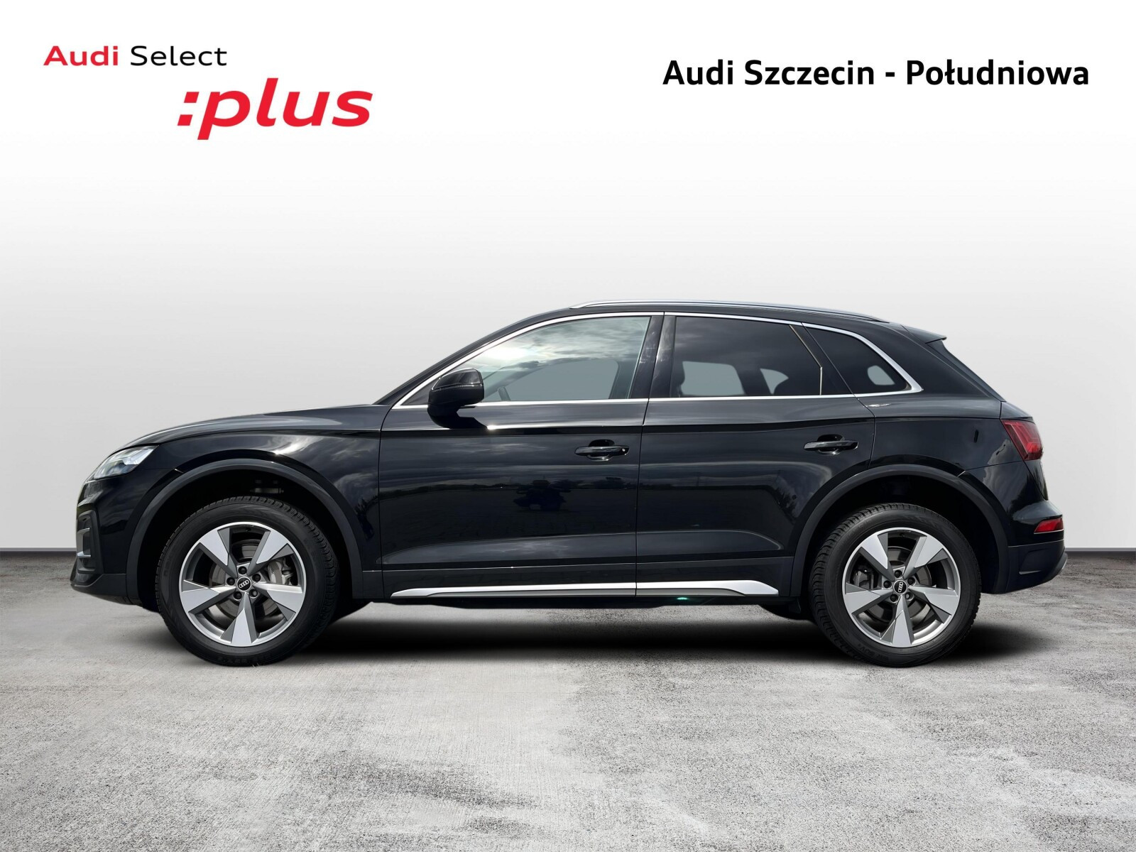 2.0 TDI 204 KM | Quattro | Matrix LED | Kamera | FV 23%