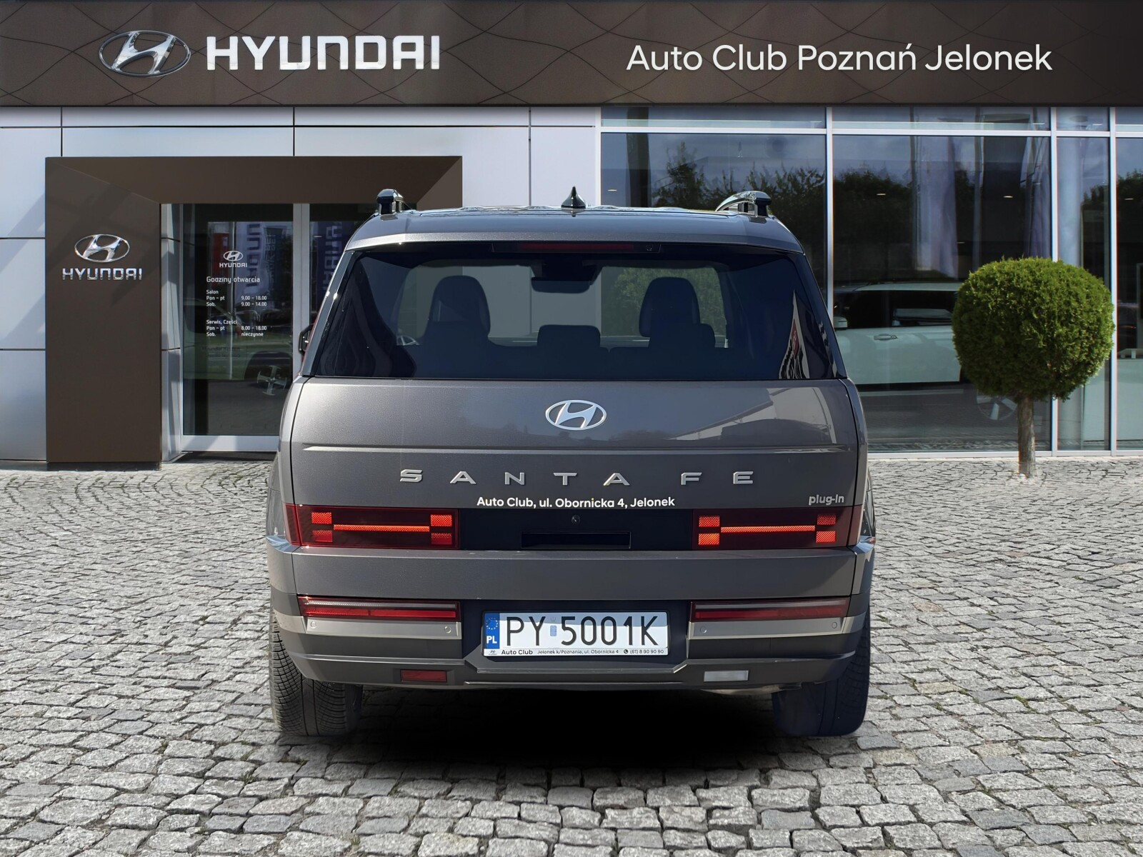7 os. Phev 253 KM 4WD Platinum Tech