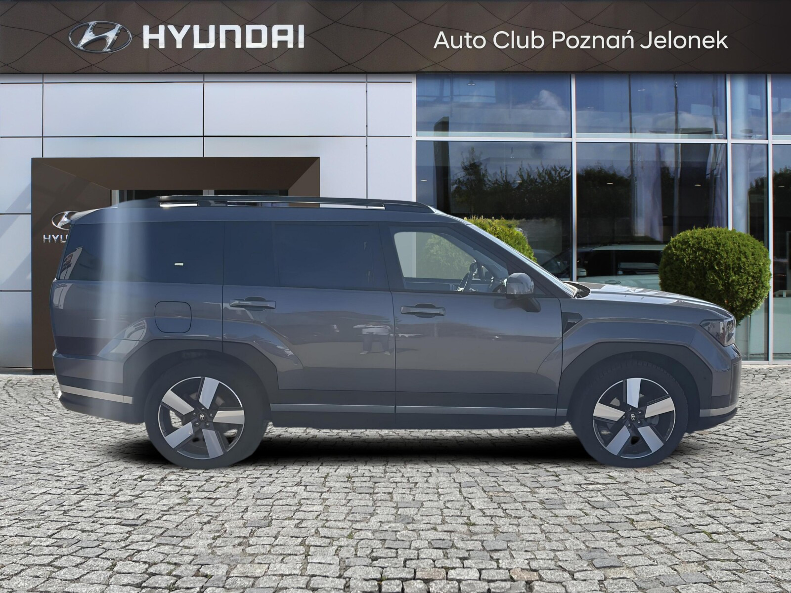 7 os. Phev 253 KM 4WD Platinum Tech