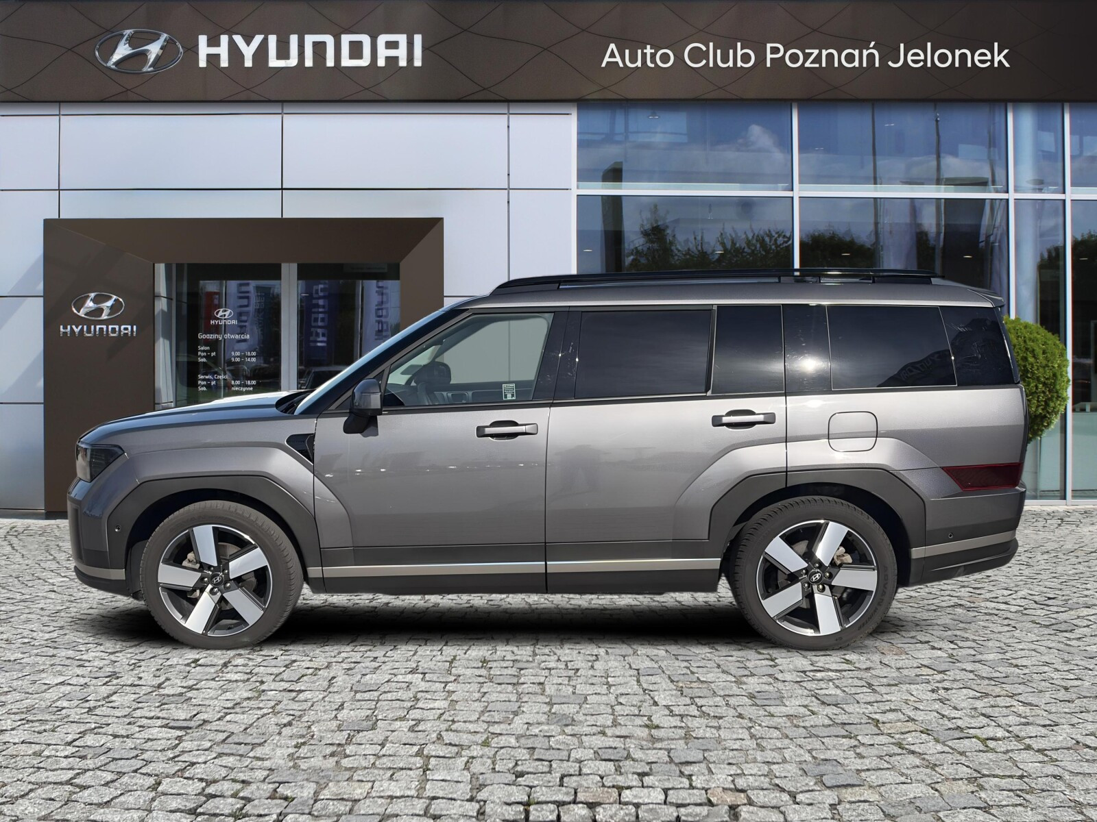 7 os. Phev 253 KM 4WD Platinum Tech