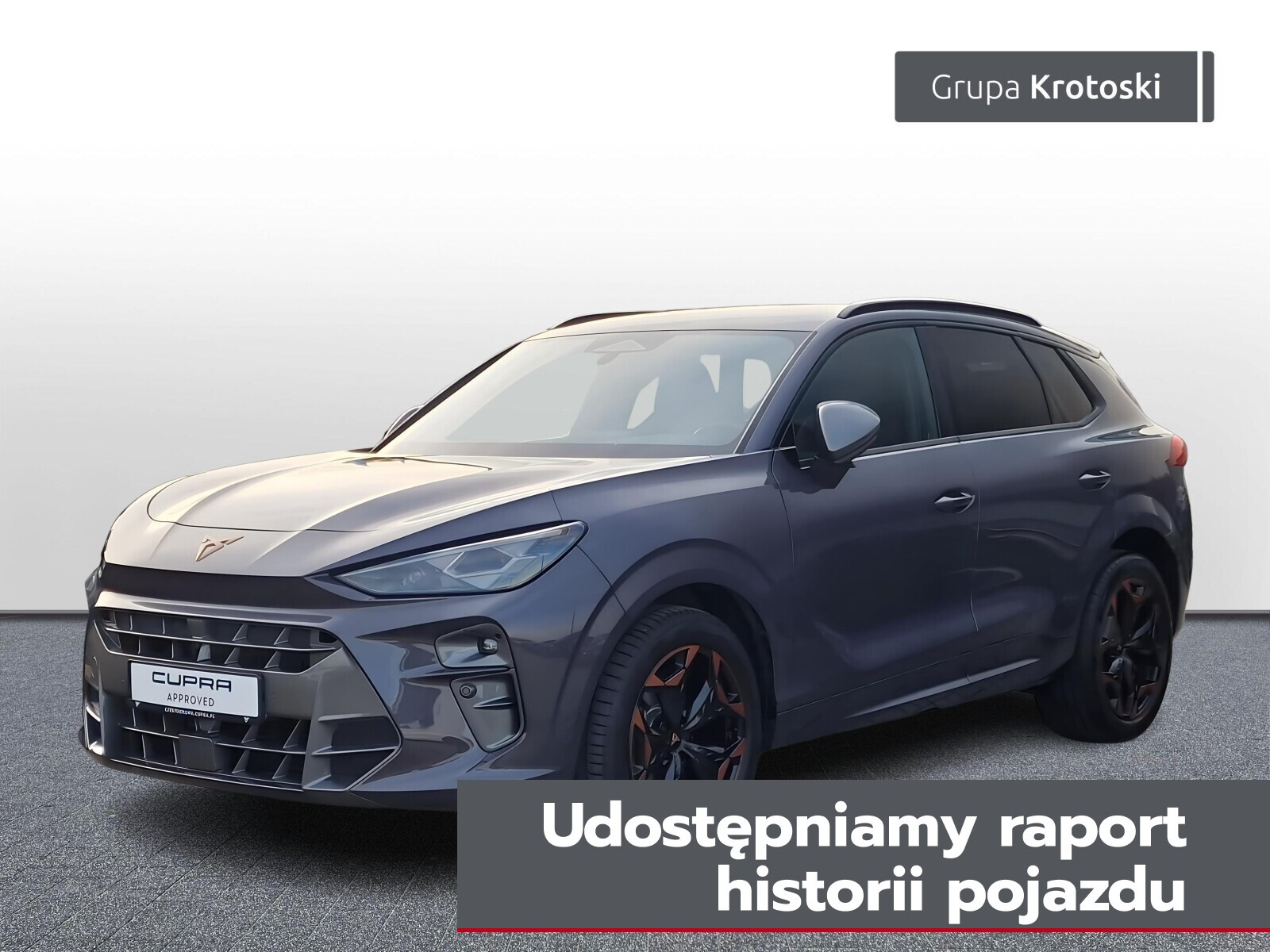 Cupra Terramar