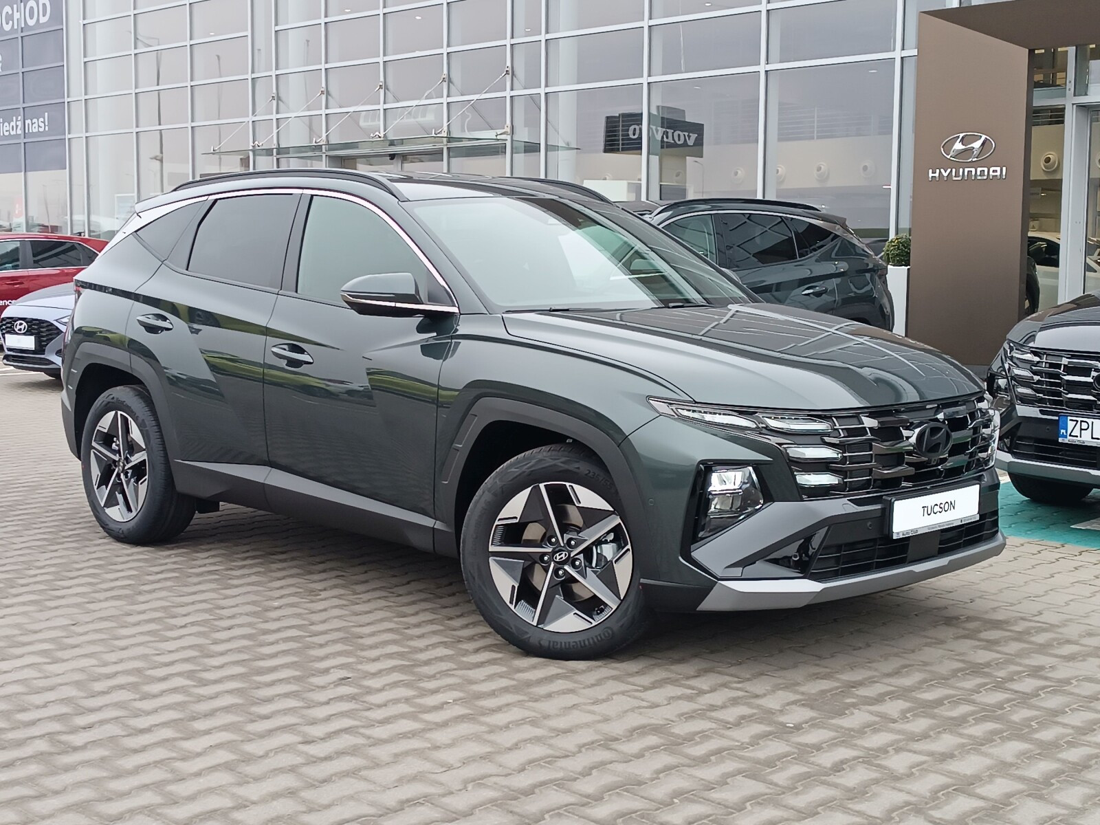 Executive Comfort 4WD