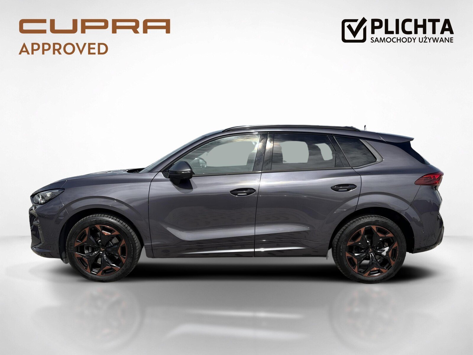 Cupra TERRAMAR 2.0 TSI 204 KM DSG napęd na 4 koła