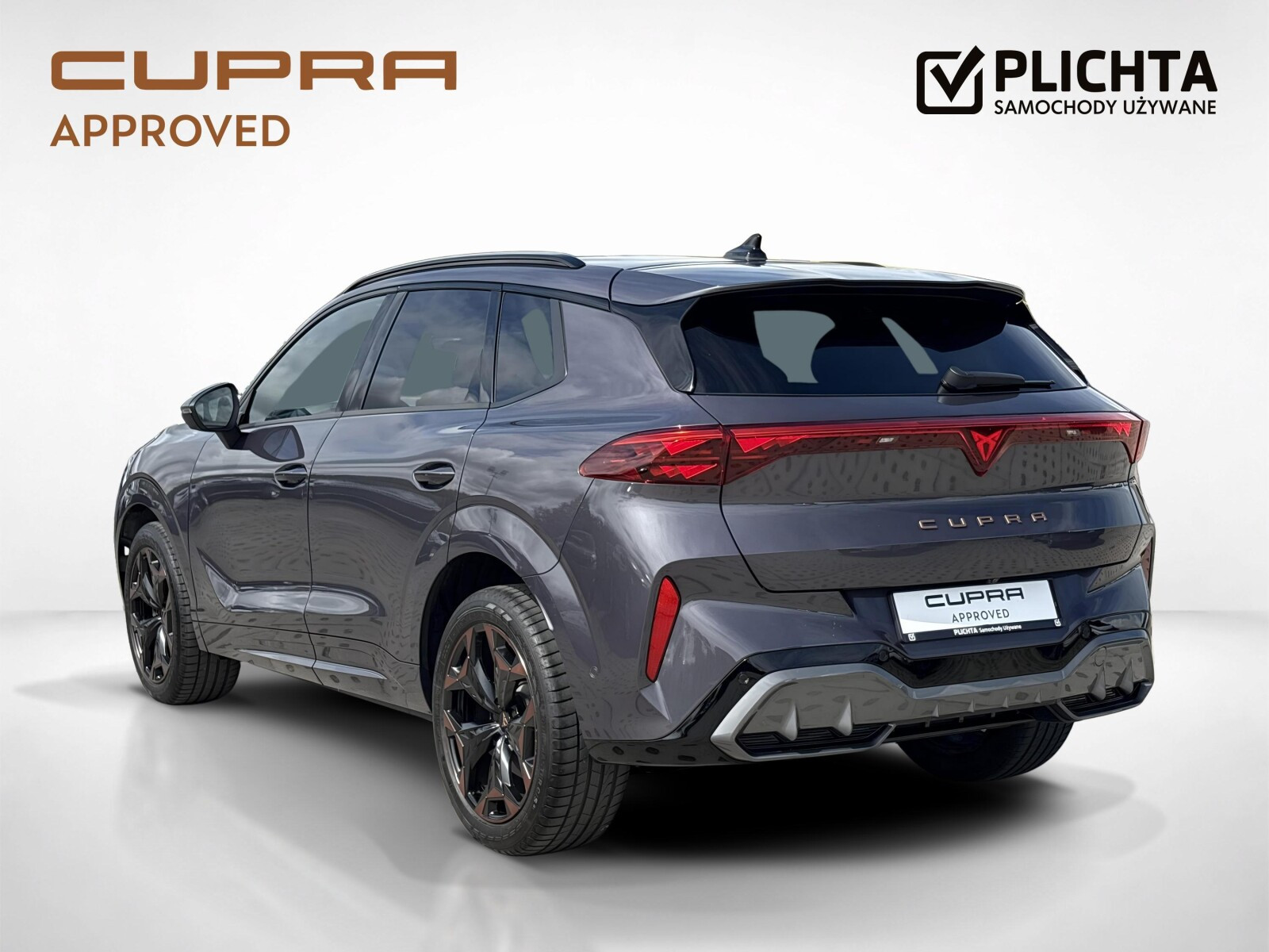Cupra TERRAMAR 2.0 TSI 204 KM DSG napęd na 4 koła