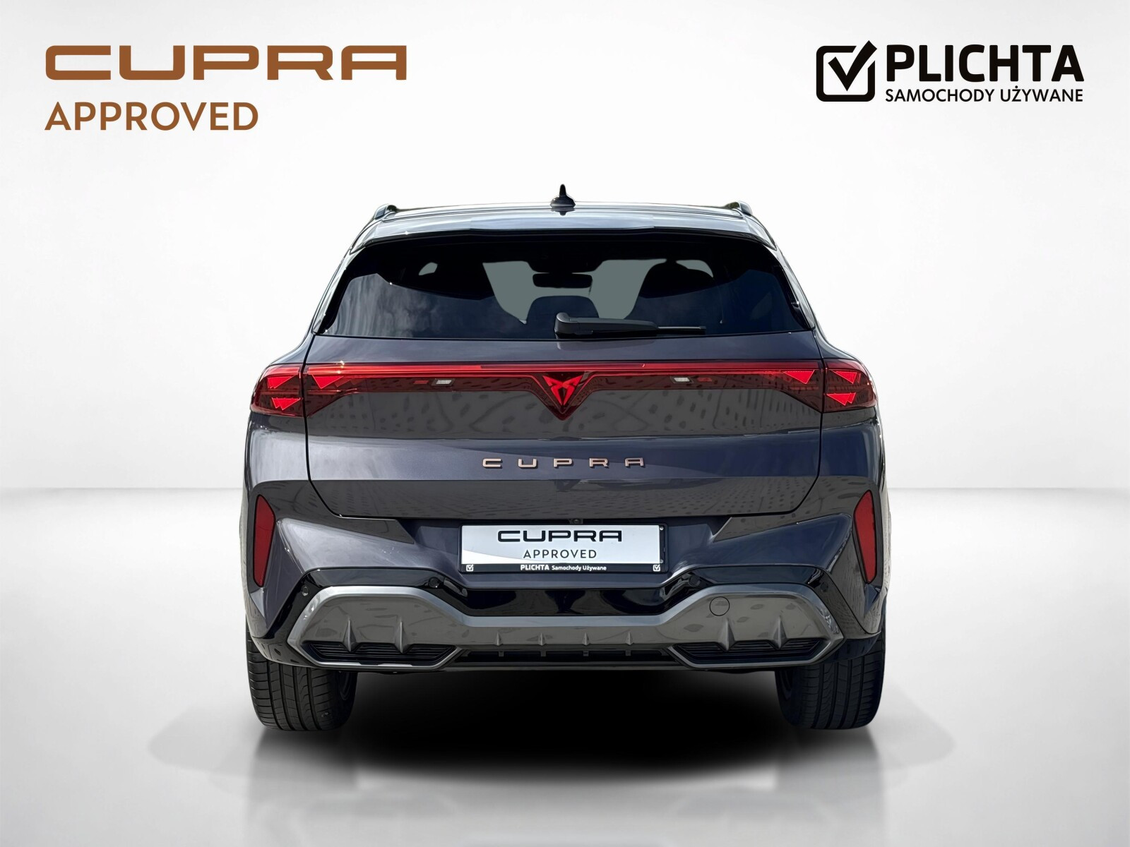 Cupra TERRAMAR 2.0 TSI 204 KM DSG napęd na 4 koła