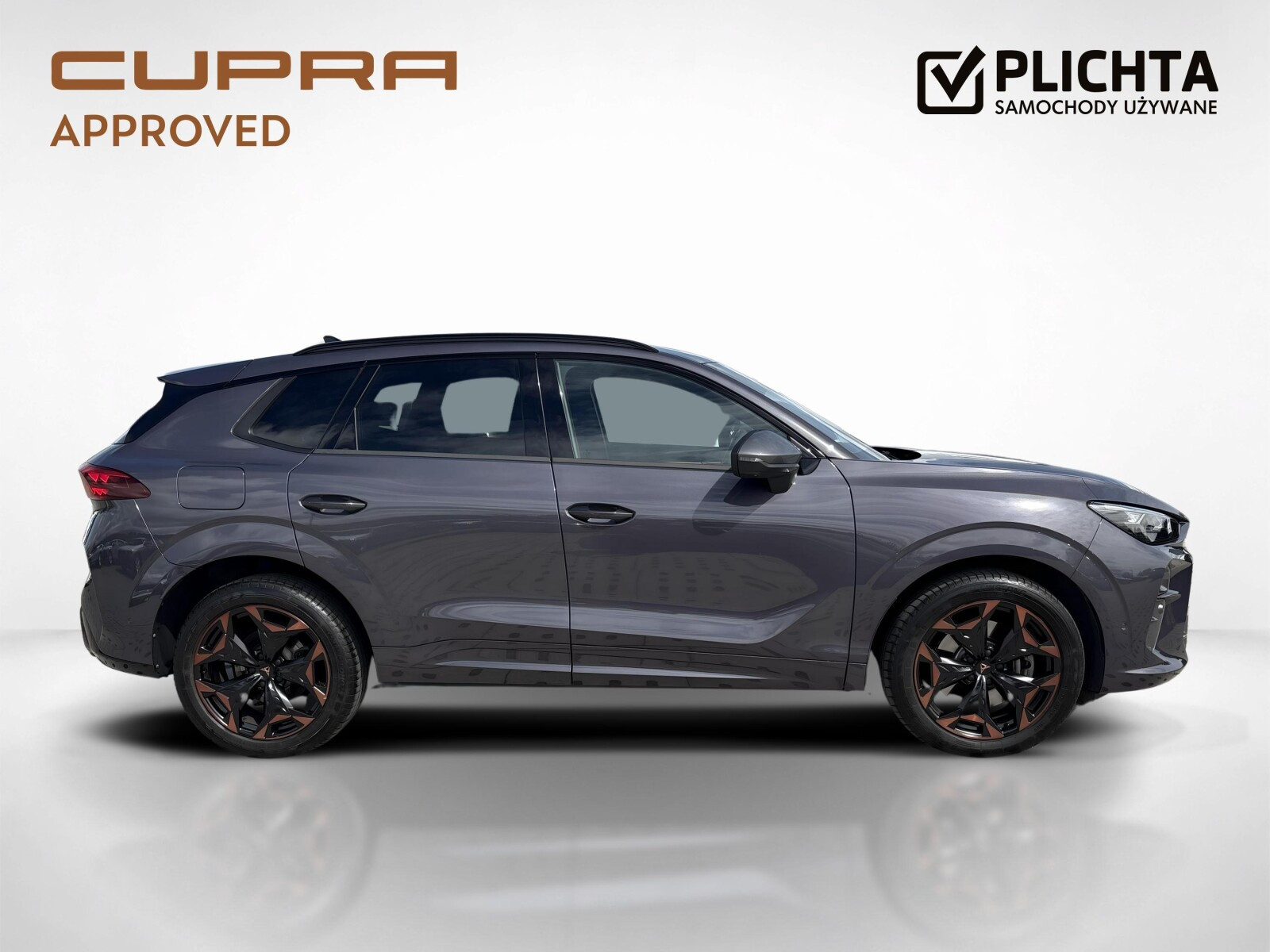 Cupra TERRAMAR 2.0 TSI 204 KM DSG napęd na 4 koła