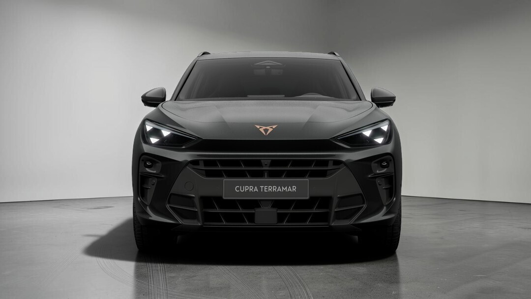 Advantage Edition 2.0 TSI 204 KM 7-biegowa automatyczna - DSG 4Drive