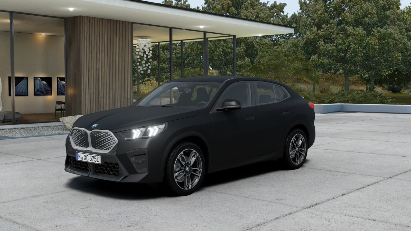 BMW iX2