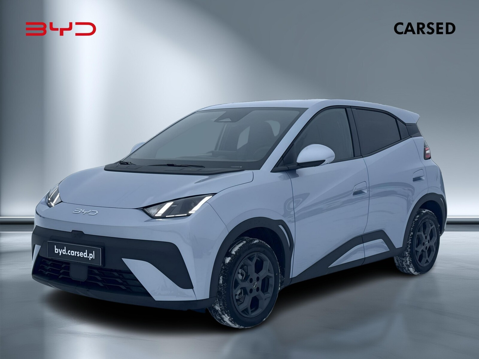 BYD Dolphin Surf