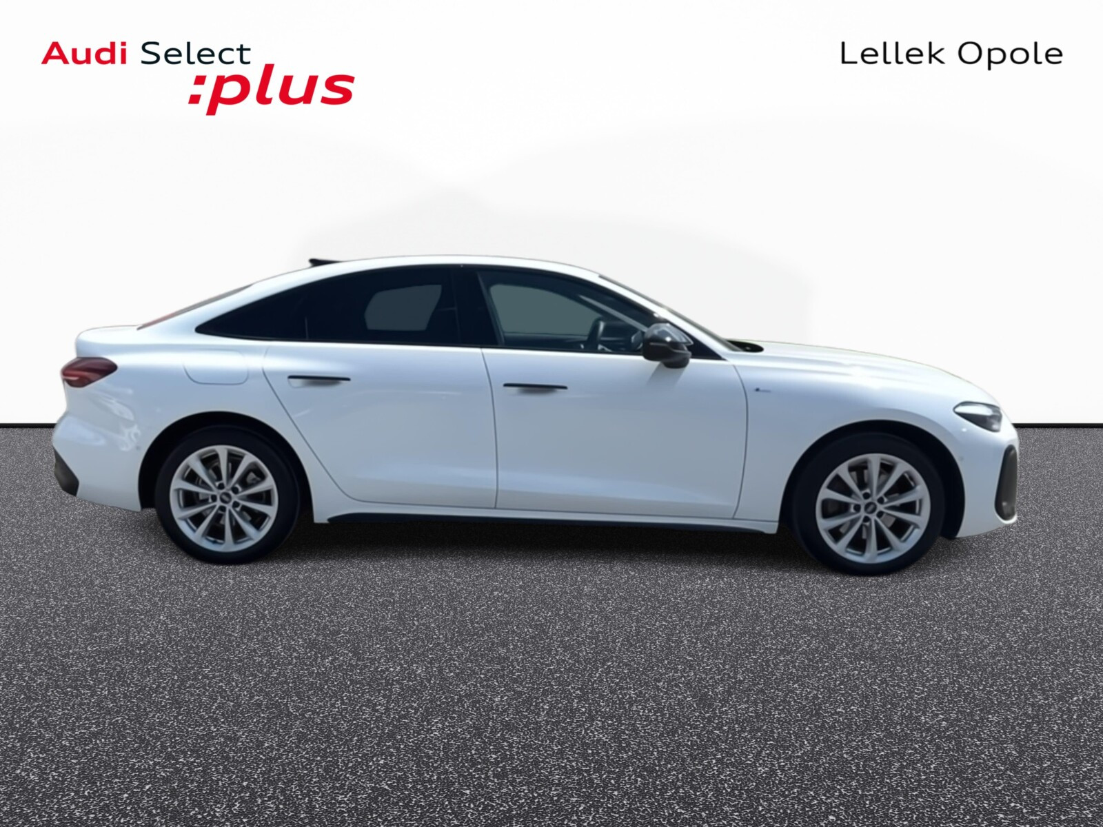 Sline / Led / 2025