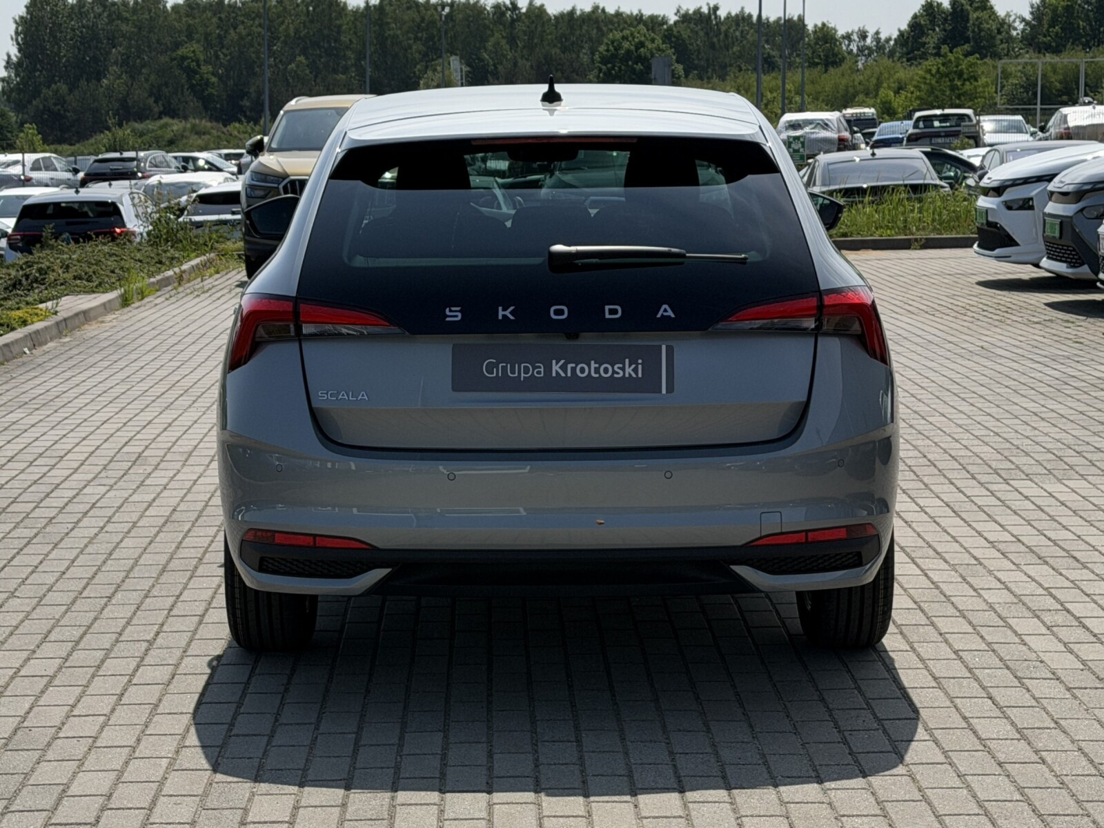 Drive 1.0 TSI 115 KM 6-biegowa manualna Dostępny od Ręki!