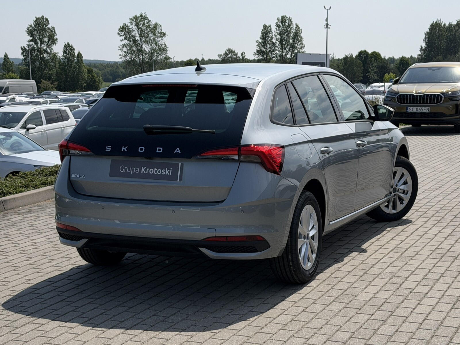 Drive 1.0 TSI 115 KM 6-biegowa manualna Dostępny od Ręki!