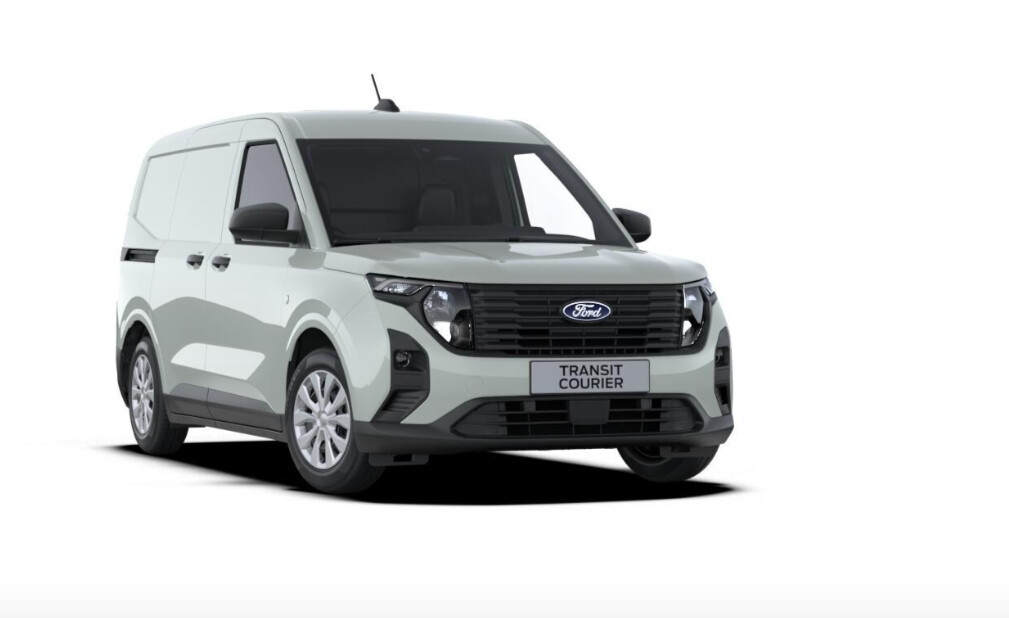 VAN Cactus Grey 1.5 ECOBLUE 100 KM FWD