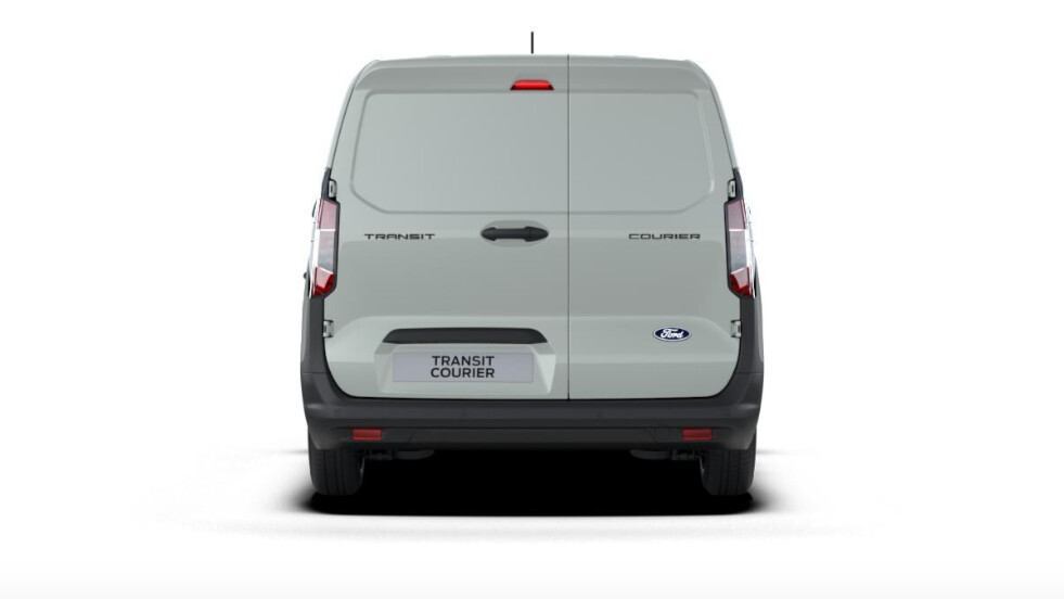 VAN Cactus Grey 1.5 ECOBLUE 100 KM FWD