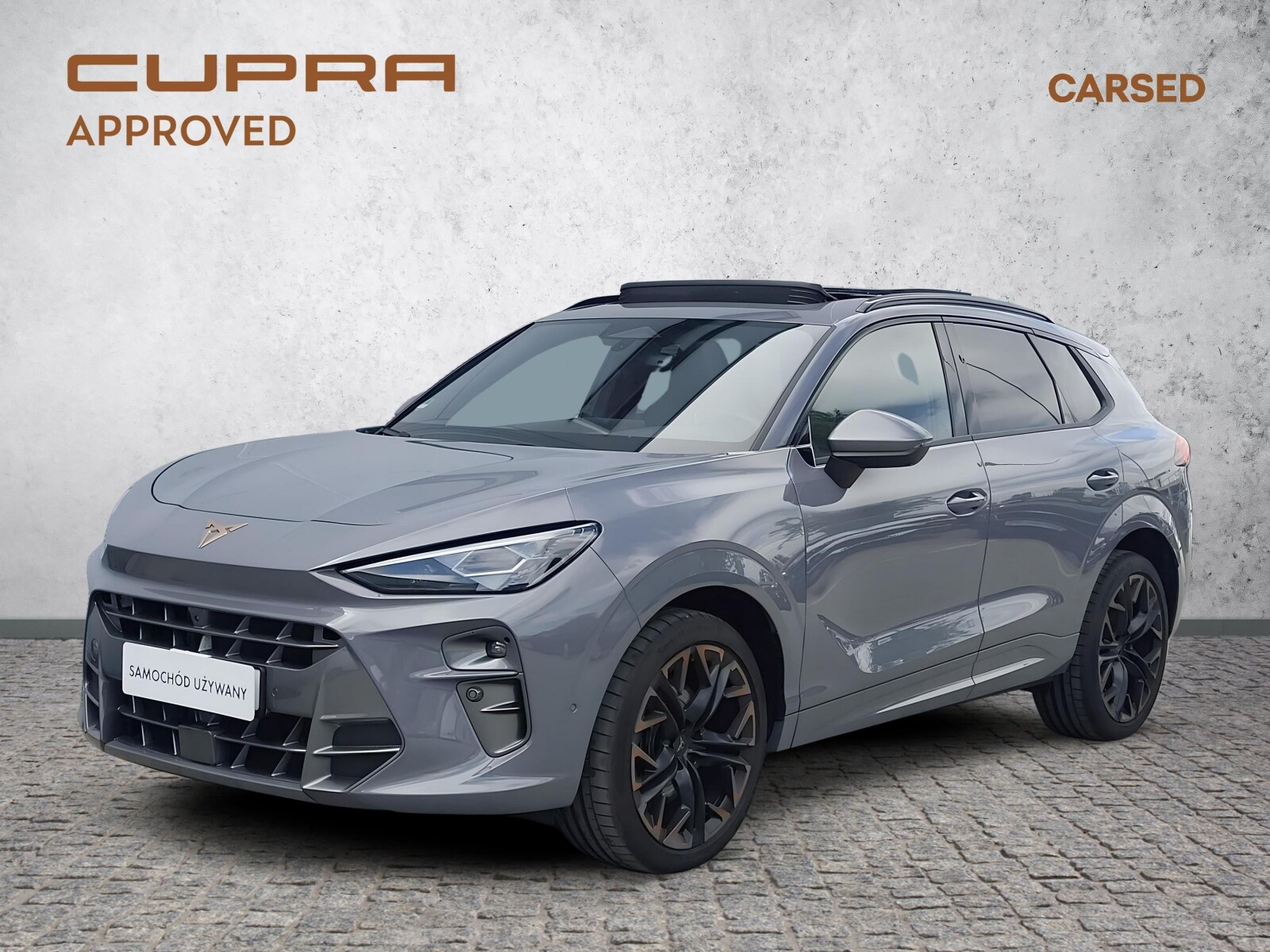 Cupra Terramar