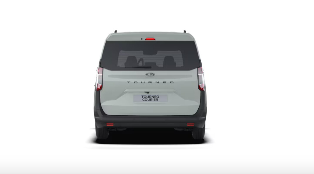 1.0 EcoBoost 125 KM  Cactus Gray