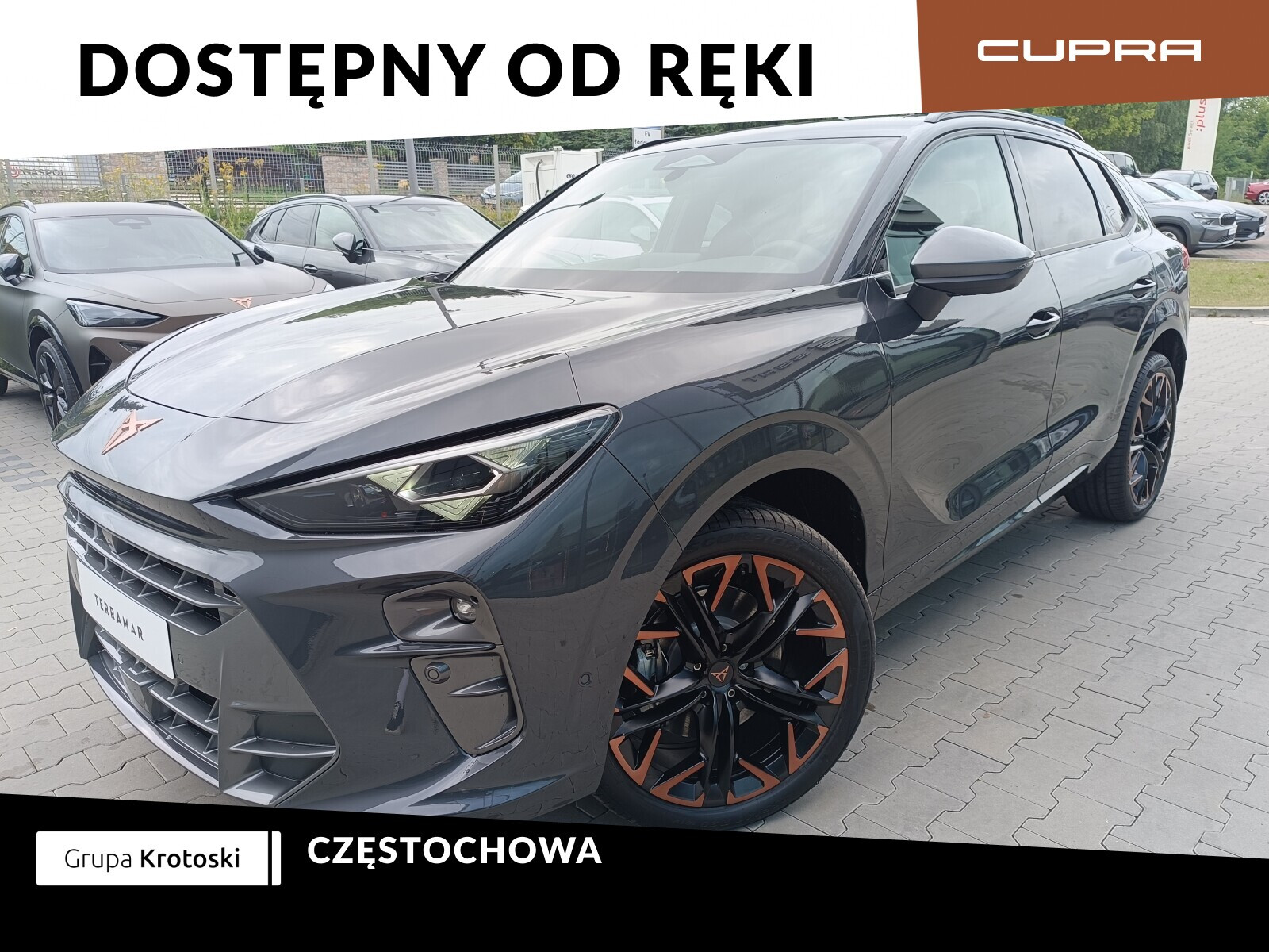 Cupra Terramar