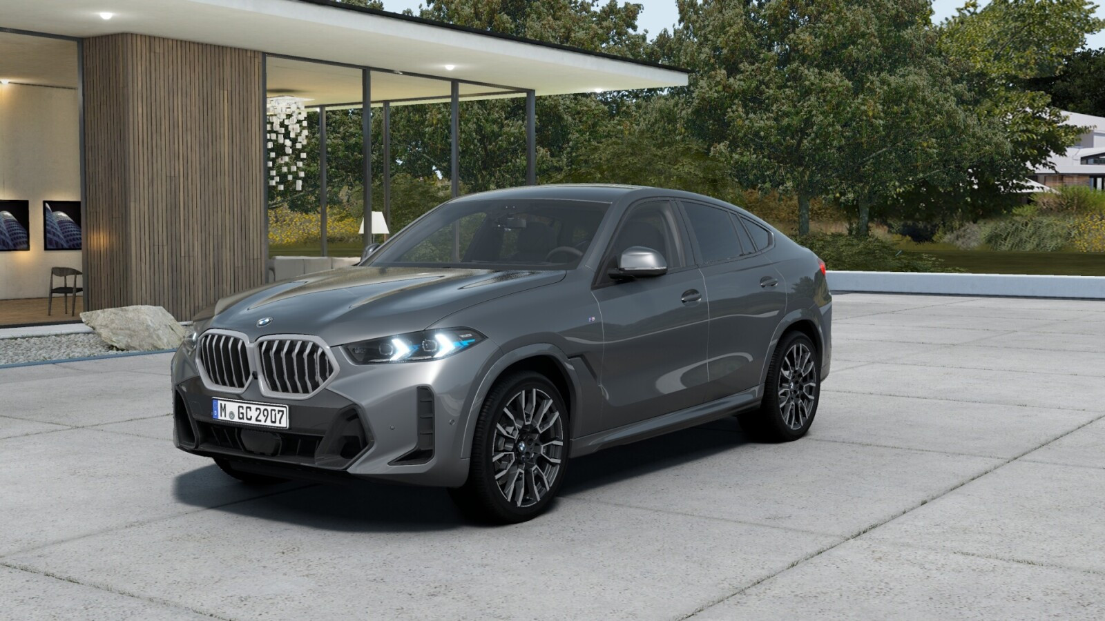 BMW X6