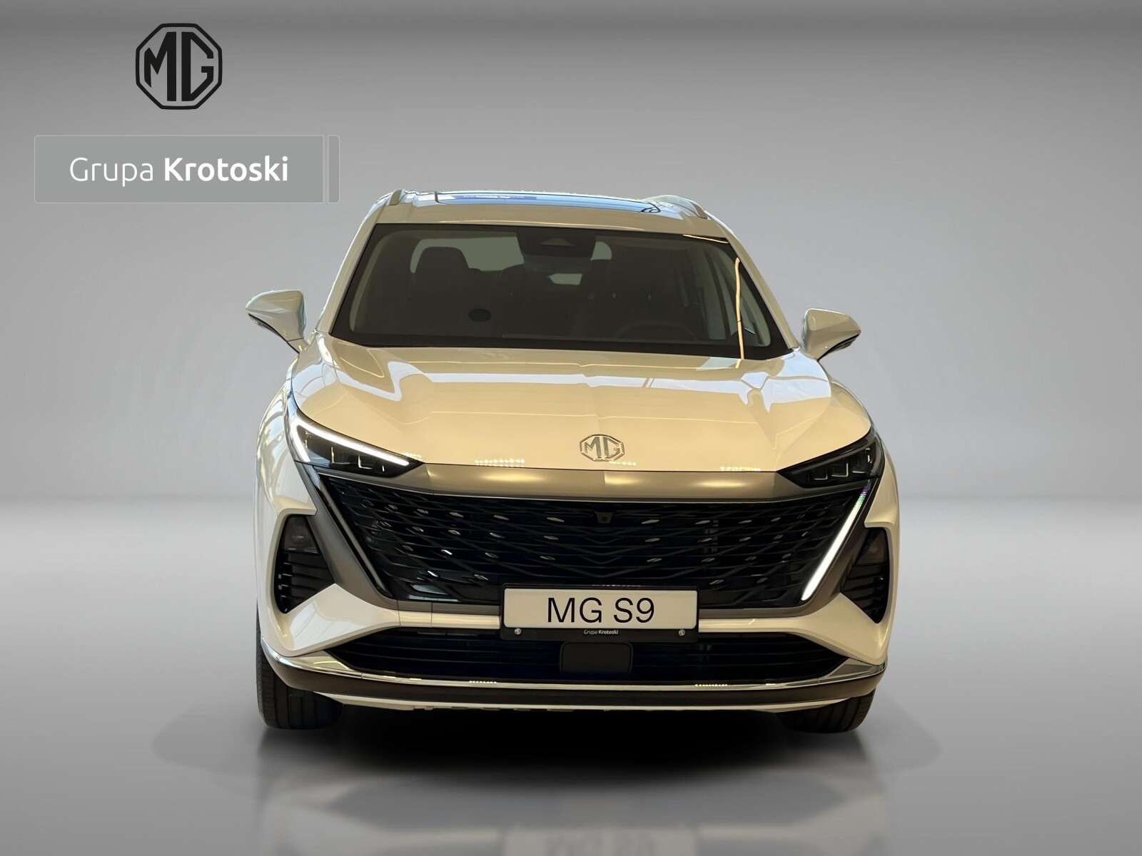 PHEV AT&nbsp;Exclusive 299&nbsp;KM