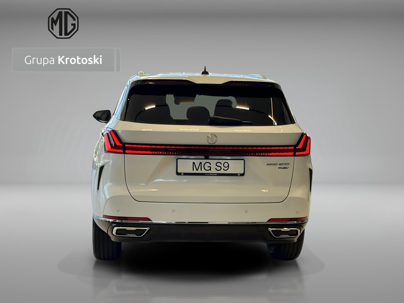 PHEV AT&nbsp;Exclusive 299&nbsp;KM