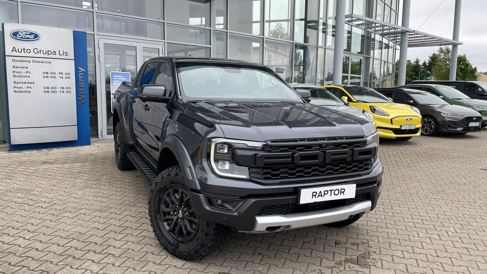 Raptor  Meteor Grey 3.0 EcoBoost 292KM
