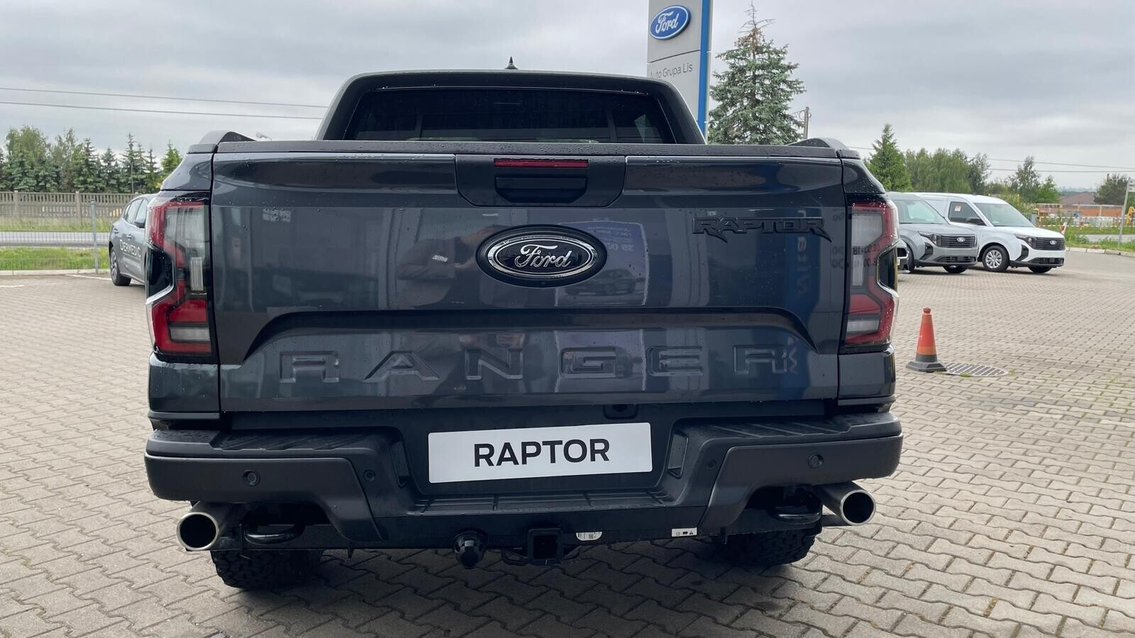 Raptor  Meteor Grey 3.0 EcoBoost 292KM