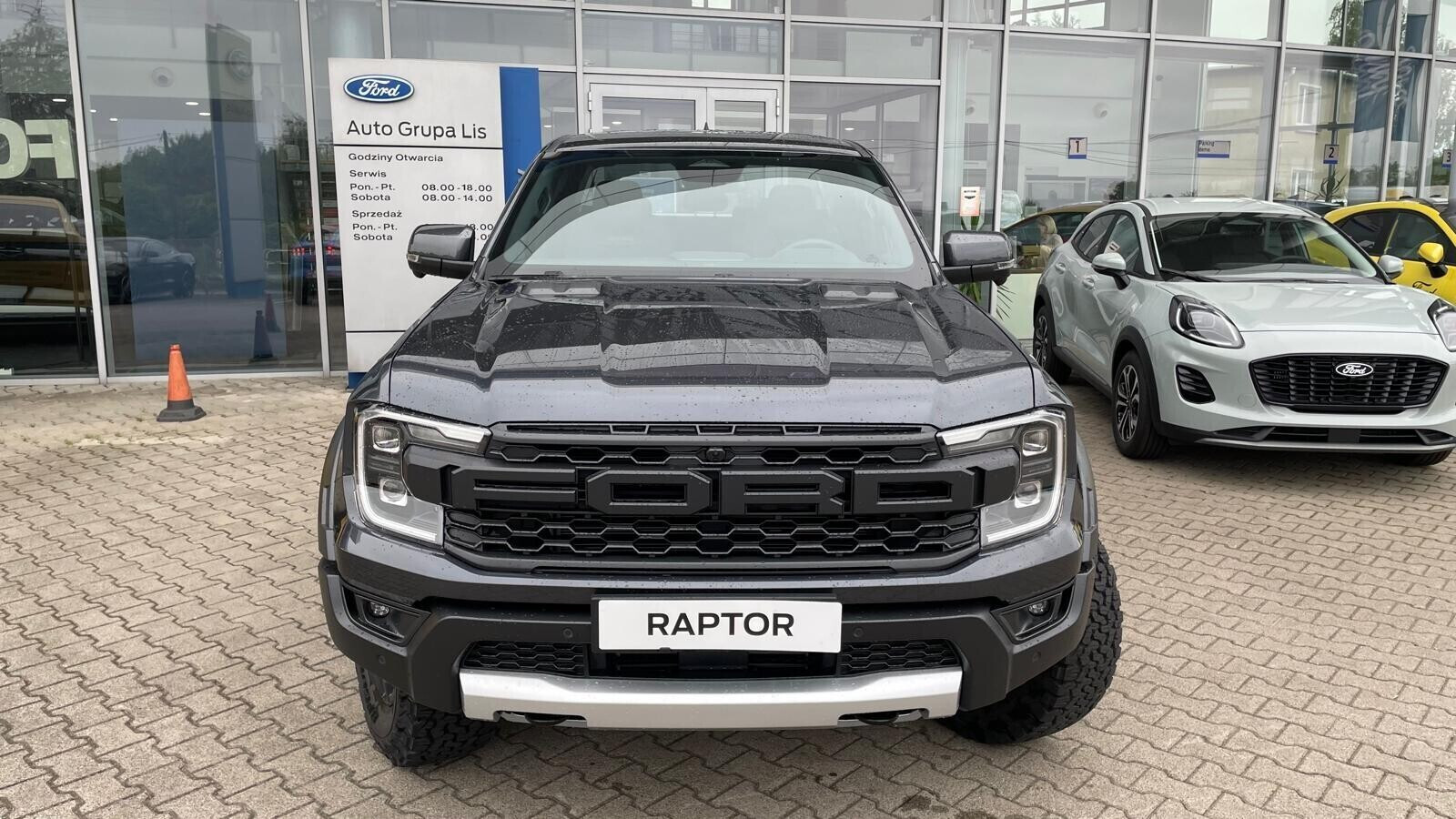 Raptor  Meteor Grey 3.0 EcoBoost 292KM