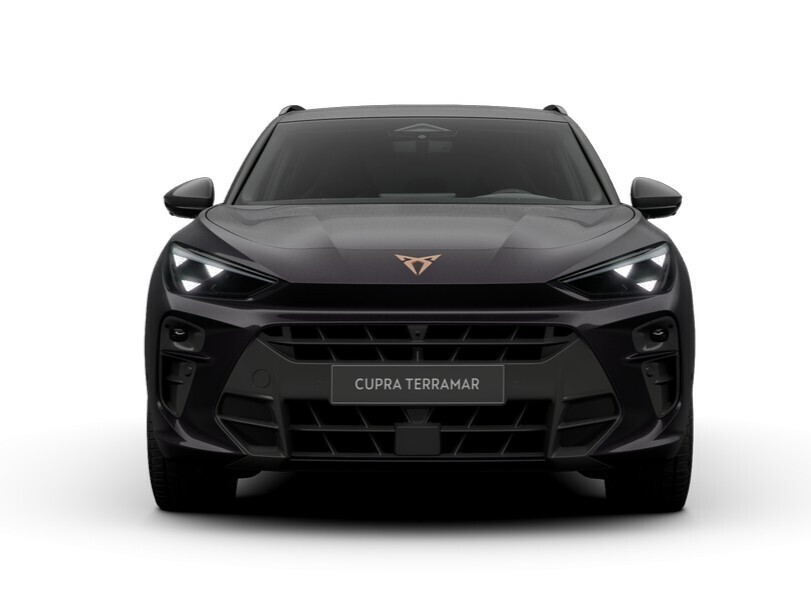 Advantage Edition 2.0 TSI 204 KM 7-biegowa automatyczna - DSG 4Drive