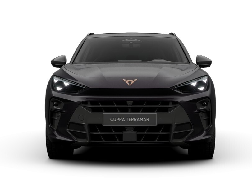 Advantage Edition 2.0 TSI 204 KM 7-biegowa automatyczna - DSG 4Drive