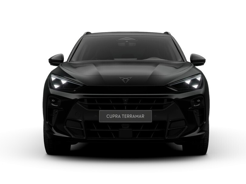 Tribe Edition Black 1.5 e-TSI 150 KM 7-biegowa automatyczna - DSG