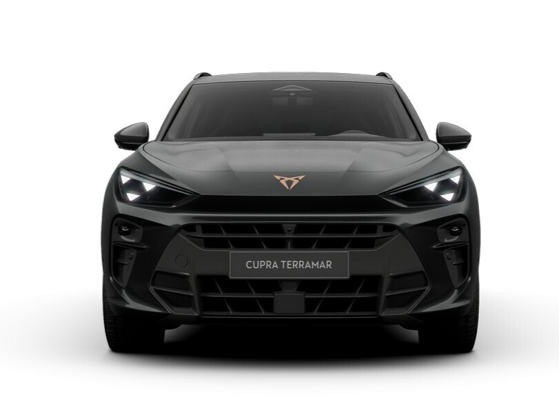 Advantage Edition 2.0 TSI 204 KM 7-biegowa automatyczna - DSG 4Drive