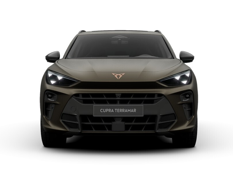 Advantage Edition 2.0 TSI 204 KM 7-biegowa automatyczna - DSG 4Drive