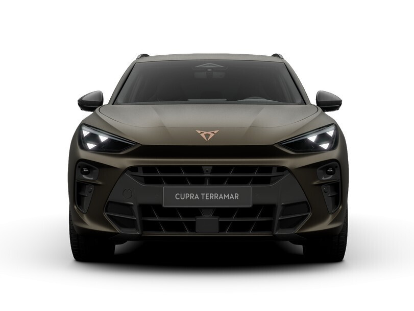 Advantage Edition 2.0 TSI 204 KM 7-biegowa automatyczna - DSG 4Drive
