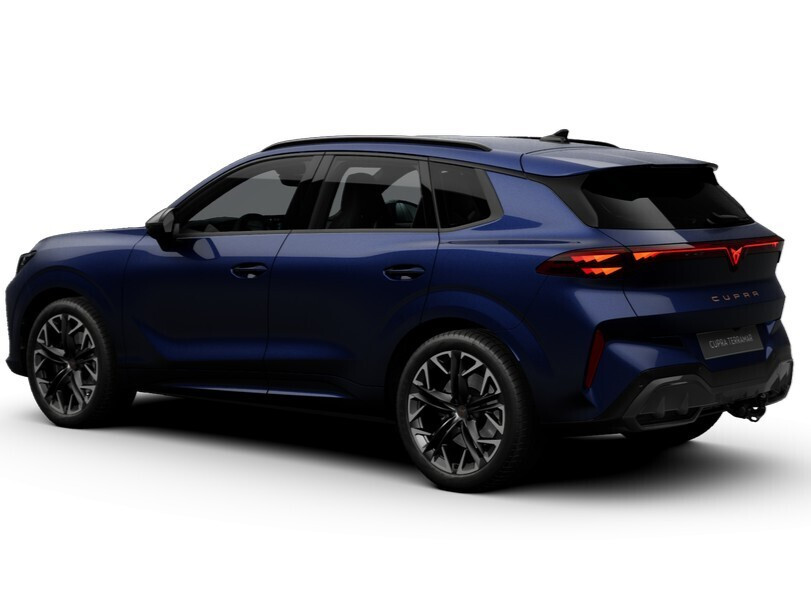 Advantage Edition 2.0 TSI 204 KM 7-biegowa automatyczna - DSG 4Drive